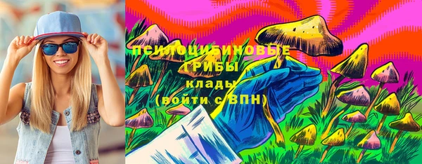 шишки Алексеевка