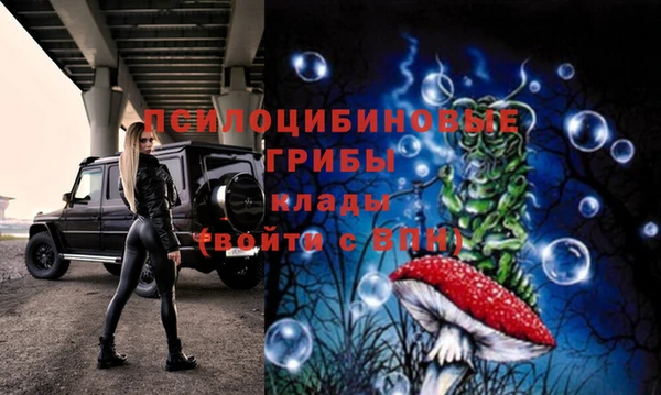 шишки Алексеевка