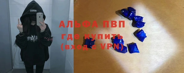 стафф Алзамай