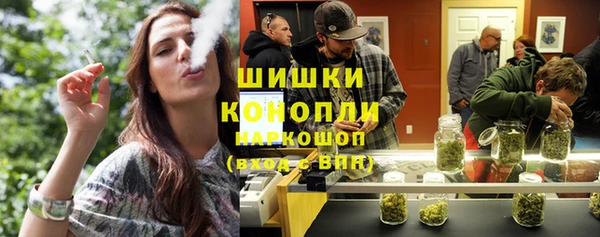 шишки Алексеевка