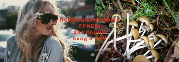 шишки Алексеевка