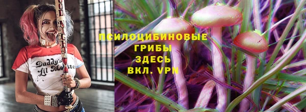 стафф Алзамай
