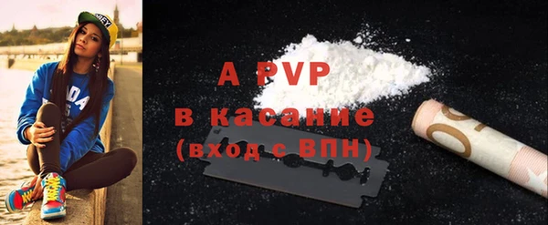 стафф Алзамай